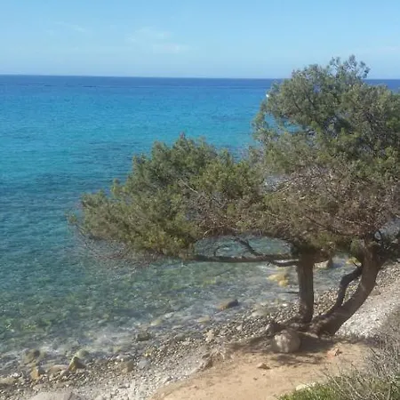 Casa Claudia 公寓 维拉西米乌斯