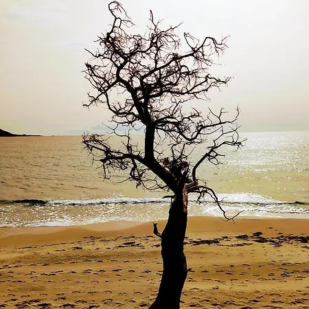 Casa Claudia * 维拉西米乌斯